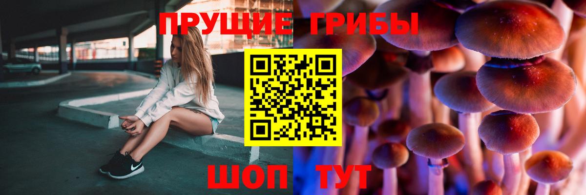 Глазов  Псилоцибиновые грибы ЛСД  наркота  Вход с VPN 