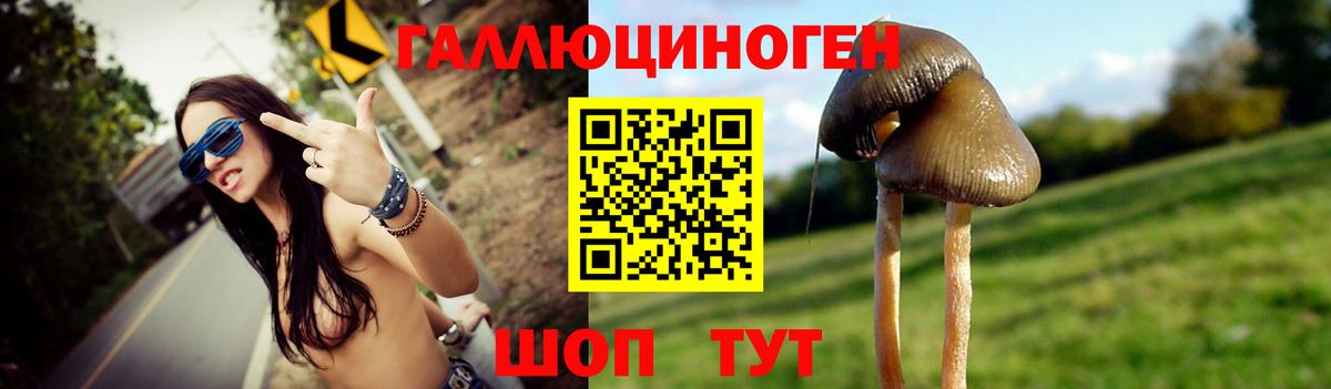 Галлюциногенные грибы Magic Shrooms Глазов